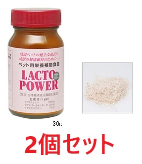 【２個セット】【ラクトパワー 粉末 (パウダー) 30g×２個】【ガラス瓶】【犬・猫・動物用】【口腔】【プランシュールジャパン】(ラクトパワー粉末)(C)