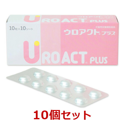imgrc0081600733.jpg
