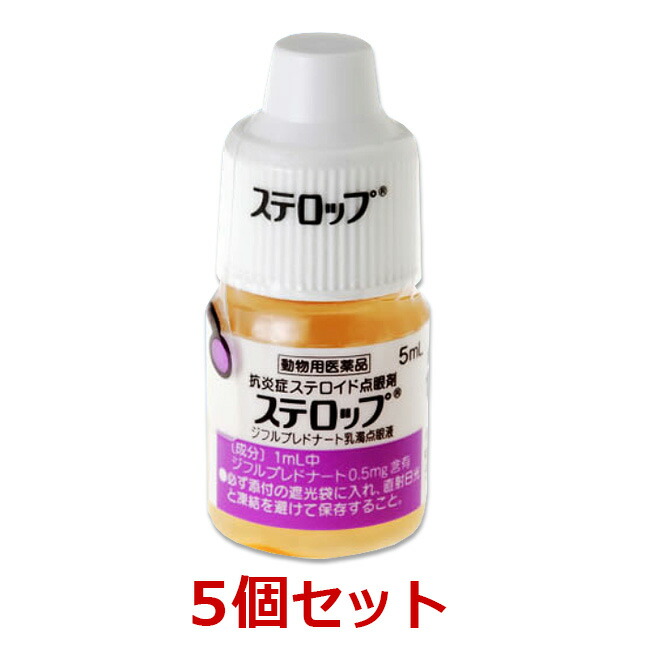 あす楽 ステロップ 5ml 犬用 個 動物用医薬品 イヌの結膜炎 角膜炎 眼瞼炎 ぶどう膜炎 点眼薬 Tajikhome Com