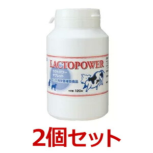 【２個書き割り】【ラクトパワー (120錠) ×２個】【壜】【口】【プランシュール・ジャパン】(ラクトパワー120錠)【P直】