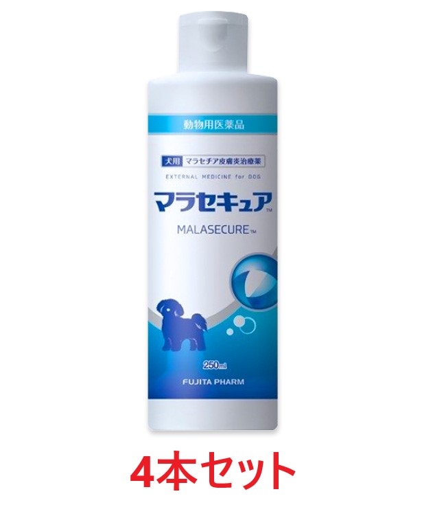 ご予約品】 あすつく ２個セット ZYMOX ザイマックス シャンプー 360mL ×２個 動物用 PKBジャパン ザイマックスシャンプー  discoversvg.com