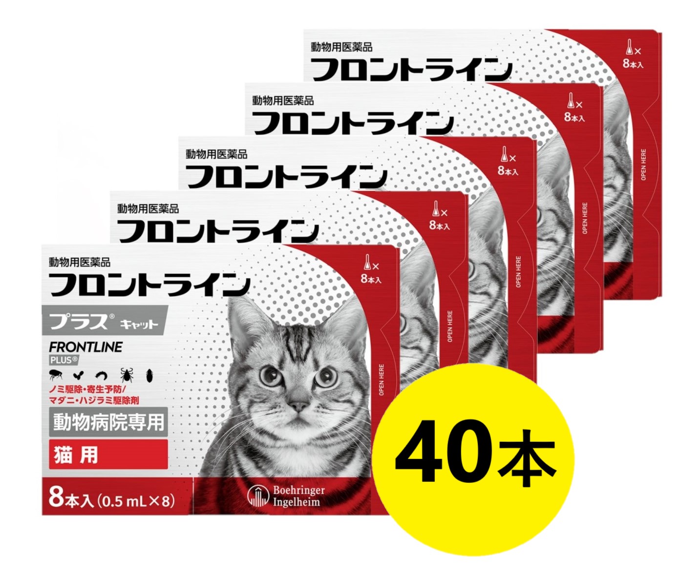 【５箱書き割り】【向こう正面伝達ルートつけ加える 猫 ８本入×５箱】【当て嵌める締め切り日：2027.07】(向こう正面伝達ルート つけ加える 猫用)【毛の荒物用飲み薬】 [隠翅目追い出し・寄生止めること / マダニ・ハジラミ追い出し剤]【全国】*(C)