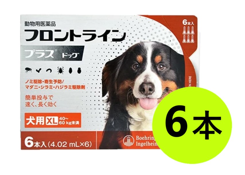 【フロントラインプラス ドッグ XL（40～60kg未満） ６本入&times;１箱】【東北～九州限定】(フロントライン プラス 犬用 XL)【動物用医薬品】 [ノミ・マダニ駆除薬] (C4)｜ペット犬猫療法食動物病院