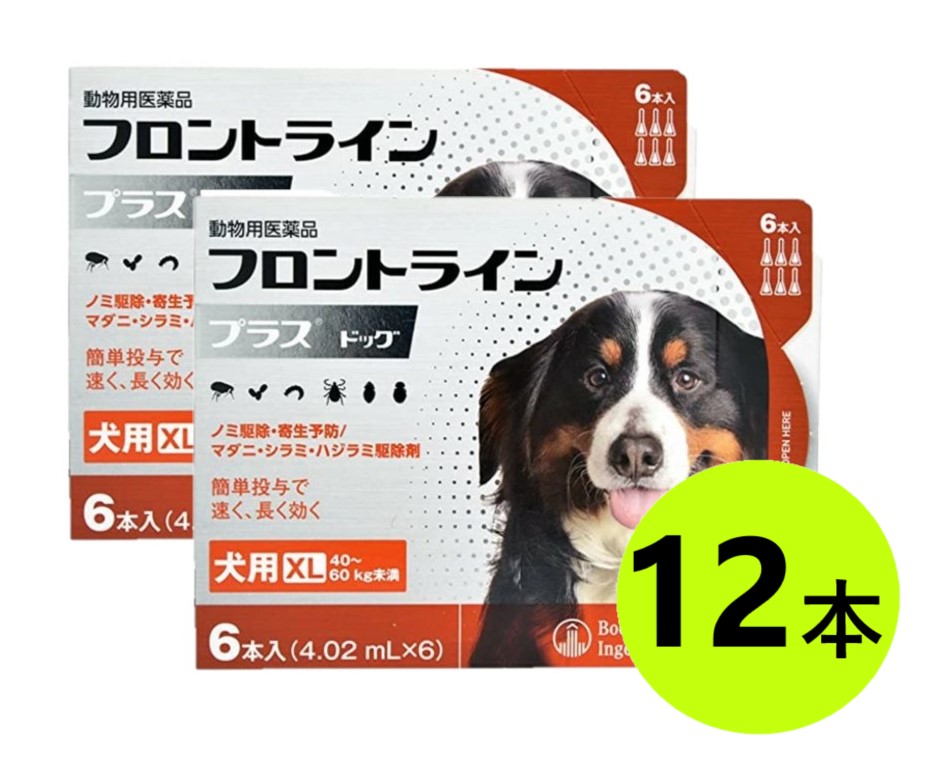 【２箱書き割り】【向こう正面伝達ルートつけ加える 飼い犬 XL（40～60kg未満） ６本入×２箱】【北東～九州押さえる】(向こう正面伝達ルート つけ加える 犬用 XL)【毛の荒物用飲み薬】 [ノミ・マダニ追い出し薬] (C)