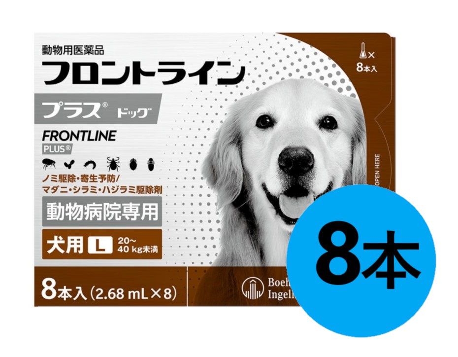 『向こう正面伝達ルートつけ加える 飼い犬 L（20～40kg未満） ８本入×１箱』(向こう正面伝達ルート つけ加える 犬用 L)【毛の荒物用飲み薬】 [ノミ・マダニ追い出し薬]【全国】 (C4)