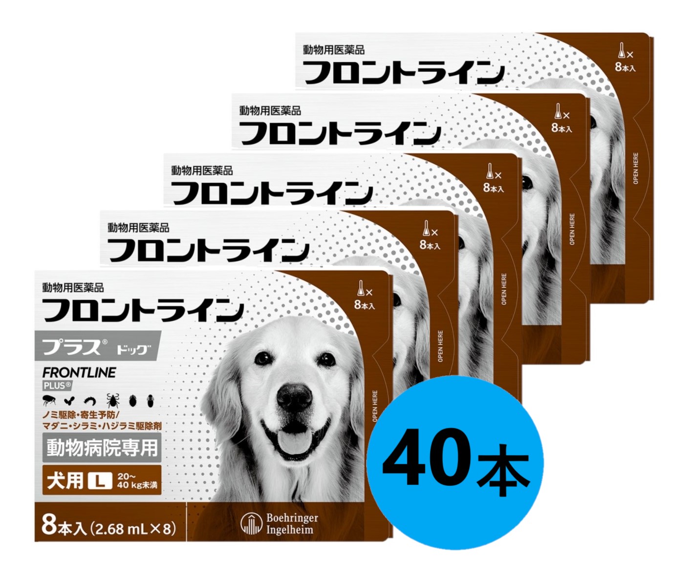 【５箱セット】【フロントラインプラス ドッグ L（20～40kg未満） ８本入×５箱】(フロントライン プラス 犬用 L)【動物用医薬品】 [ノミ・マダニ駆除薬]【全国】*(発)