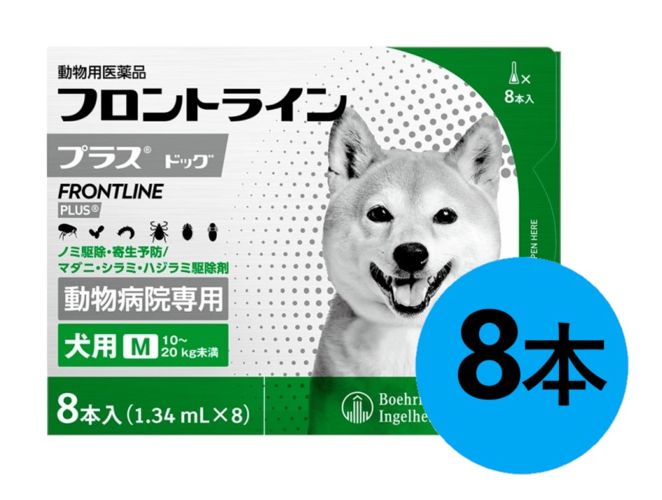 『向こう正面伝達ルートつけ加える 飼い犬M（10～20kg未満） ８本入×１箱』(向こう正面伝達ルート つけ加える 犬用 M)【毛の荒物用飲み薬】 [ノミ・マダニ追い出し薬] 【全国】(C4)