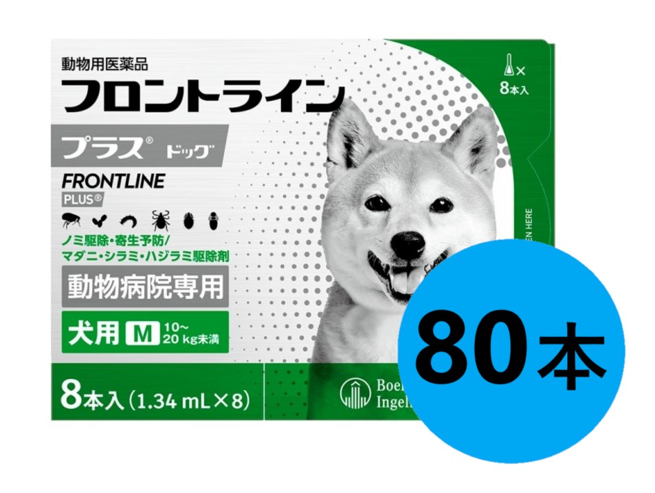 【１０箱セット】【フロントラインプラス ドッグM（10～20kg未満） ８本入×１０箱】(フロントライン プラス 犬用 M)【動物用医薬品】 [ノミ・マダニ駆除薬]【全国】*(発)