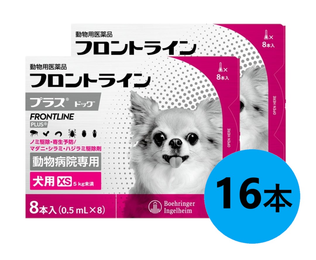 【２箱書き割り】【向こう正面伝達ルート足し加える 飼い犬 XS（5kg未満） ８本入×２箱】(向こう正面伝達ルート 足し加える 犬用 XS)【毛の荒物用飲み薬】 [ノミ・マダニ追いだし薬]【全国】*(C)