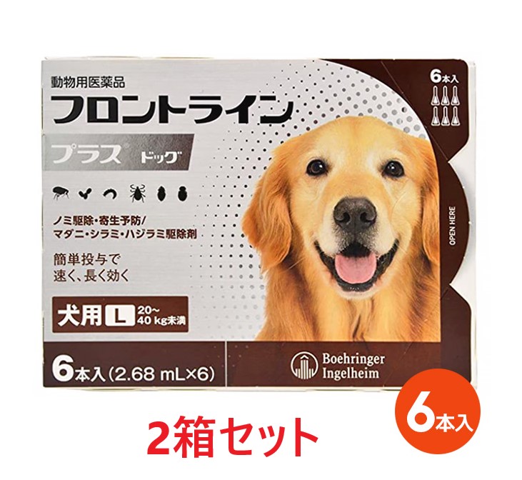 市場 ２箱セット ６本入×２箱 フロントライン フロントラインプラス 20〜40kg未満 L ドッグ