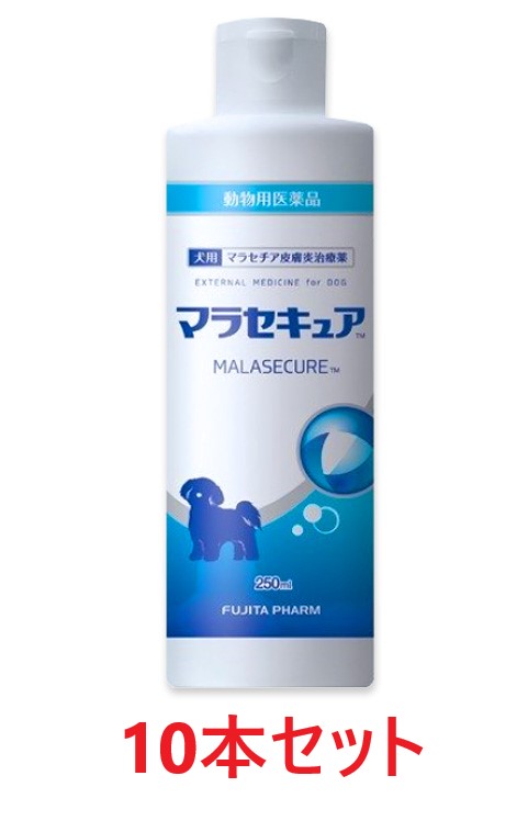 【１０本書き割り】【マラセキュア シャンプー 犬用 250mL ×１０本】(マラセキュアシャンプー)【毛の荒物用飲み薬】 [マラセチアひと肌炎和らげる薬]【全国】*(C)