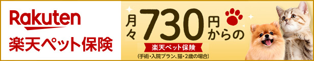 楽天市場】【あす楽】【３個セット】『ワンクリーン 動物用点眼 15mL×３個』【動物用医薬品】 [点眼薬・清拭剤] (C) : ペット犬猫療法食動物病院