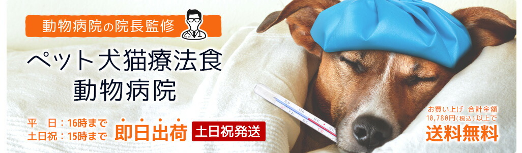 ڥåȸǭˡưʪ±ǭѥץȡưʪѰʤʤưʪ±νðդľ䡪