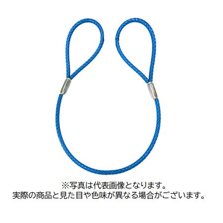 玉掛け カラー被覆付ワイヤ 径12mm 長さ10m 玉300mm