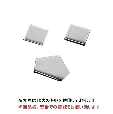 【ポイント10倍】【直送品】 A&D (エー・アンド・デイ) OIML型校正用分銅 (F1級) AD1603-100MF1 (板状分銅)