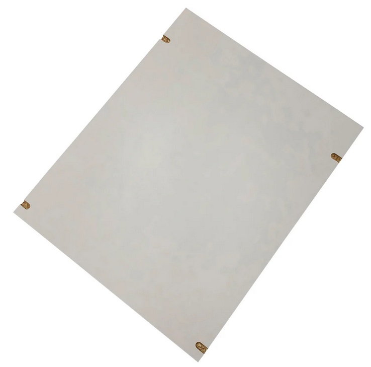 【直送品】 アズワン ダストアウトR(ガラス器具保管庫) 平棚板 3-5312-36 《実験設備・保管》