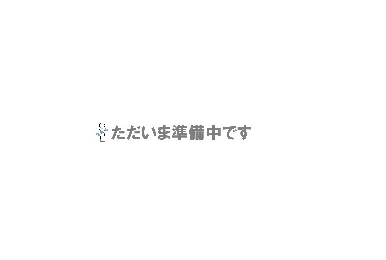 【ポイント10倍】新コスモス電機 XA-380s用 ACアダプタM （連結用）《オプション》