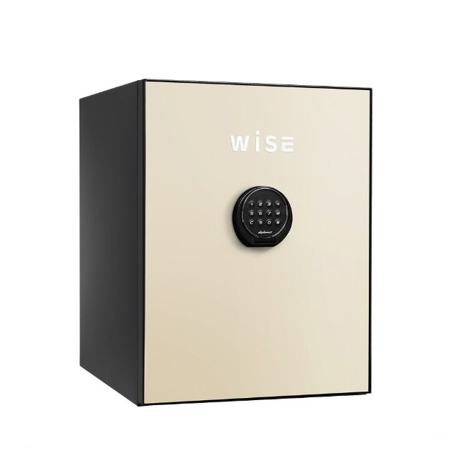 【尖んがり5倍】【直送品】 ディプロマット・ジャパン 割り増し金セーフ WISE 続きもの WS500ALC 本体+向こう正面ダイアログボックス 【大型】
