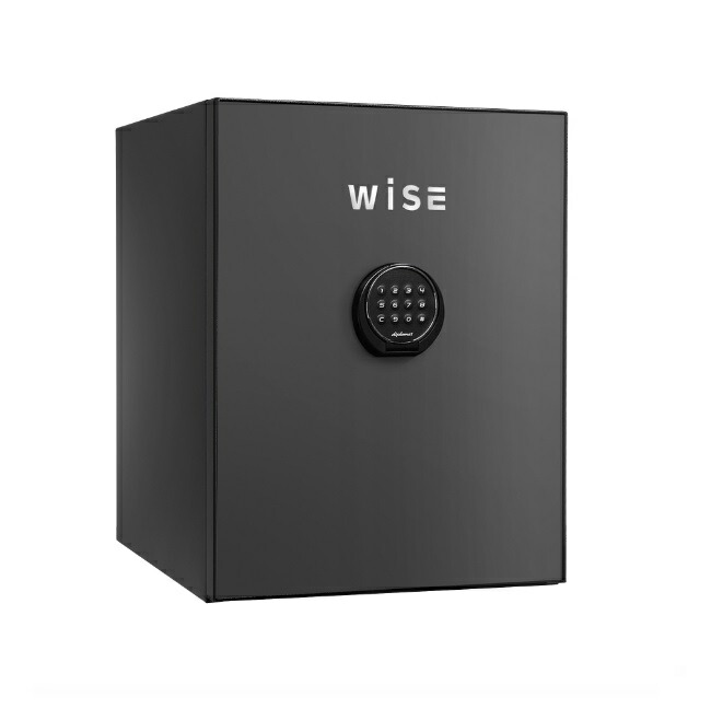 【尖んがり10倍】【直送品】 ディプロマット・ジャパン 割り増し金セーフ WISE 続きもの WS500ALDG 本体+向こう正面ダイアログボックス 【大型】