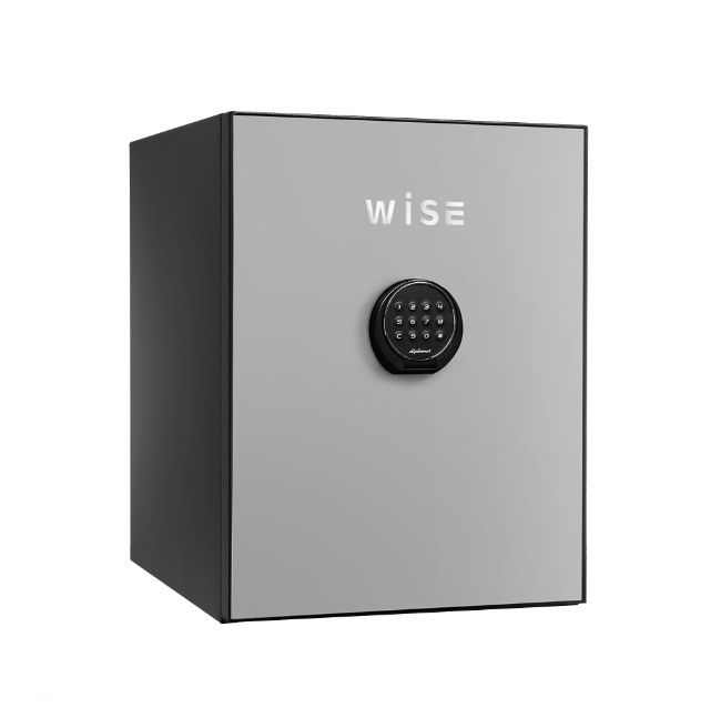 【尖んがり5倍】【直送品】 ディプロマット・ジャパン 割り増し金セーフ WISE 続きもの WS500ALLG 本体+向こう正面ダイアログボックス 【大型】