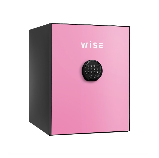 【直送品】 ディプロマット・ジャパン 割り増し金セーフ WISE 続きもの WS500ALP 本体+向こう正面ダイアログボックス 【大型】