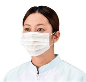 【ポイント5倍】【ケース販売】 エブノ プリートマスク50 2PLY 耳掛 No.858 フリーサイズ ホワイト 5000枚入(100枚&times;50箱) 《マスク》｜道具屋さん店