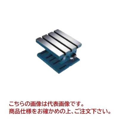 【直送品】 ギガ・選りぬき 一角一皿 GSHSAP-4 【受注生み出すこと品】 【大型】