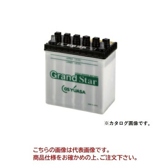 【ポイント10倍】【直送品】 GSユアサ バッテリー EB グランドスター 小型電動車用鉛蓄電池 EB25-TE