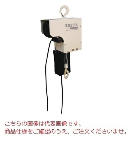 【ポイント10倍】【直送品】 スリーエッチ H.H.H 電気チェーンブロック ES250kgX3m (ES250kg×3)