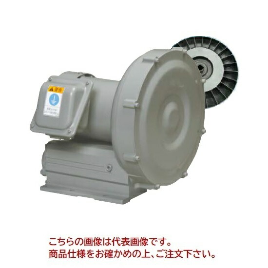 【ポイント10倍】【直送品】 日立産機 ボルテックスブロワ Eシリーズ 単相100V 50/60Hz VB-004S-E (1973-2220)
