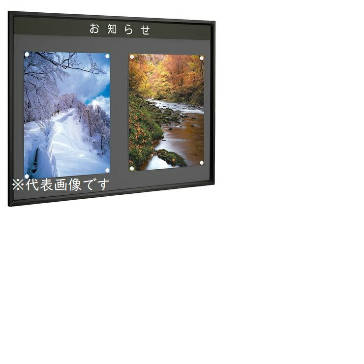 [今季注目 在庫あり ] M5Y4OT6630G (M5Y4OT6630G)