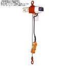 【ポイント5倍】【直送品】 キトー 電気チェーンブロック EDX06SD (60kg 楊程3m)