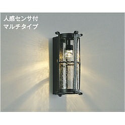 【ポイント10倍】【直送品】 コイズミ照明 防雨型ブラケット AU42434L 【送料別】