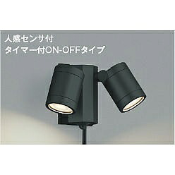 【直送品】 コイズミ照明 エクステリアスポットライト AU43205L 【送料別】