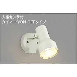 【ポイント10倍】【直送品】 コイズミ照明 エクステリアスポットライト AU45238L 【送料別】