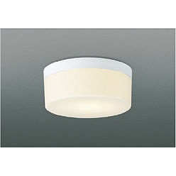 【直送品】 コイズミ照明 小型シーリング AH54091 【送料別】