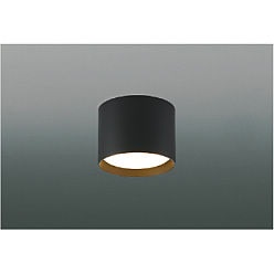 【直送品】 コイズミ照明 小型シーリング AH54221 【送料別】