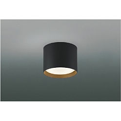 【直送品】 コイズミ照明 小型シーリング AH54222 【送料別】