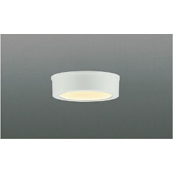 【ポイント10倍】【直送品】 コイズミ照明 防雨防湿型シーリング AU50499 【送料別】