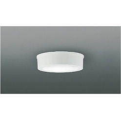 【直送品】 コイズミ照明 防雨防湿型シーリング AU54138 【送料別】