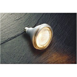【直送品】 コイズミ照明 LEDランプ AE55044 【送料別】