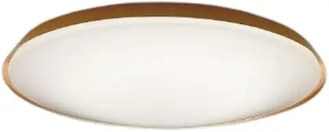 【直送品】 コイズミ照明 シーリング AH55823 【送料別】