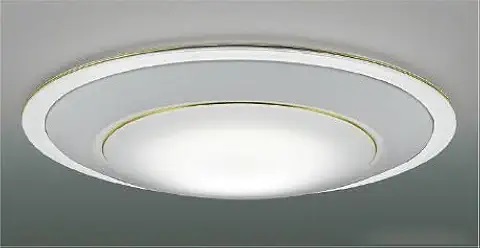 【ポイント10倍】【直送品】 コイズミ照明 シーリング AH56294 【送料別】
