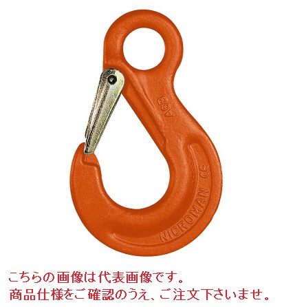 【尖んがり5倍】コンドーテック ペワッグ アイフック HSW16 (035ZPHSW16) (アイタイプ)