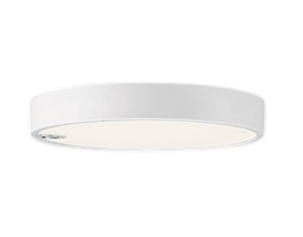 【直送品】 オーデリック シーリングライト OL251857R