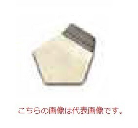 【ポイント5倍】【直送品】 オーハウス (OHAUS) F1級 OIML標準分銅 91400129 (JCSS校正証明書付)｜道具屋さん店