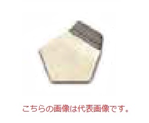 【ポイント10倍】【直送品】 オーハウス (OHAUS) F2級 OIML標準分銅 91400159 (JCSS校正証明書付)