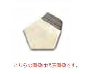 【ポイント10倍】【直送品】 オーハウス (OHAUS) F2級 OIML標準分銅 91400163 (JCSS校正証明書付)