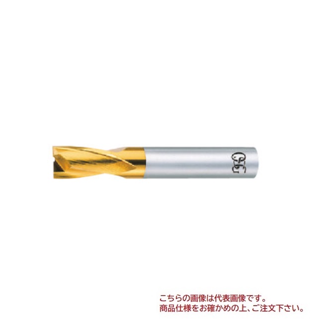 【尖んがり5倍】オーエスジー(OSG) TiN上塗り ハイスエンドミル 2刃 足懸かり溝用 EX-TIN-EKD OL1 13 (81673)