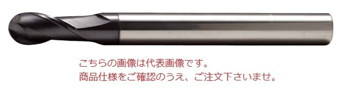【ポイント5倍】PROCHI (プロチ) 2枚刃超硬ボールEM ロング R12.5 PRC-R1250M2L